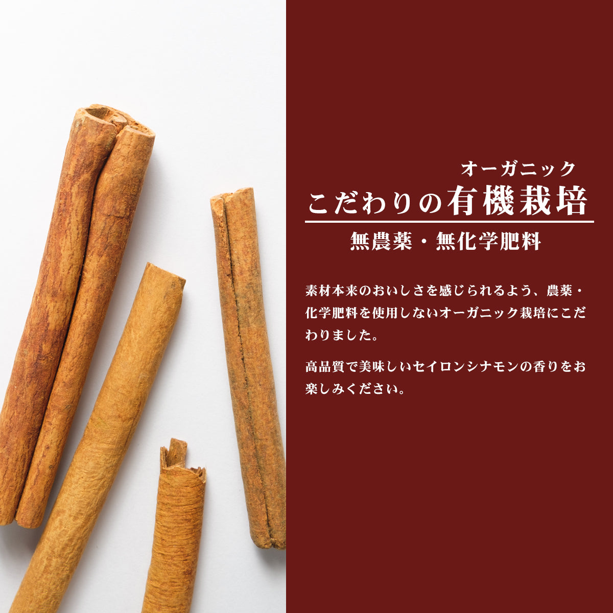 【有機JAS認証】 オーガニック シナモンスティック 10本 約40~50g セイロン 最高級 スリランカ産 セイロンシナモン 有機 JAS オーガニック スーパーフード スパイス 桂皮 肉桂