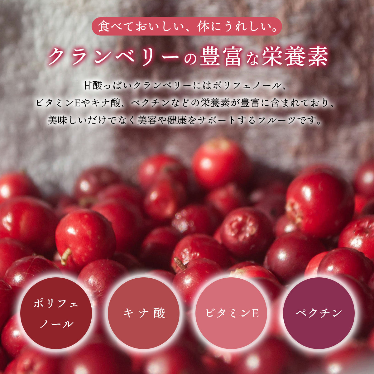 クランベリーパウダー 100g クランベリー粉末 スプレードライパウダー チリ産 果汁 ヨーグルト スムージー ジュース お菓子作り 材料 ポリフェノール ビタミンE キナ酸 ペクチン
