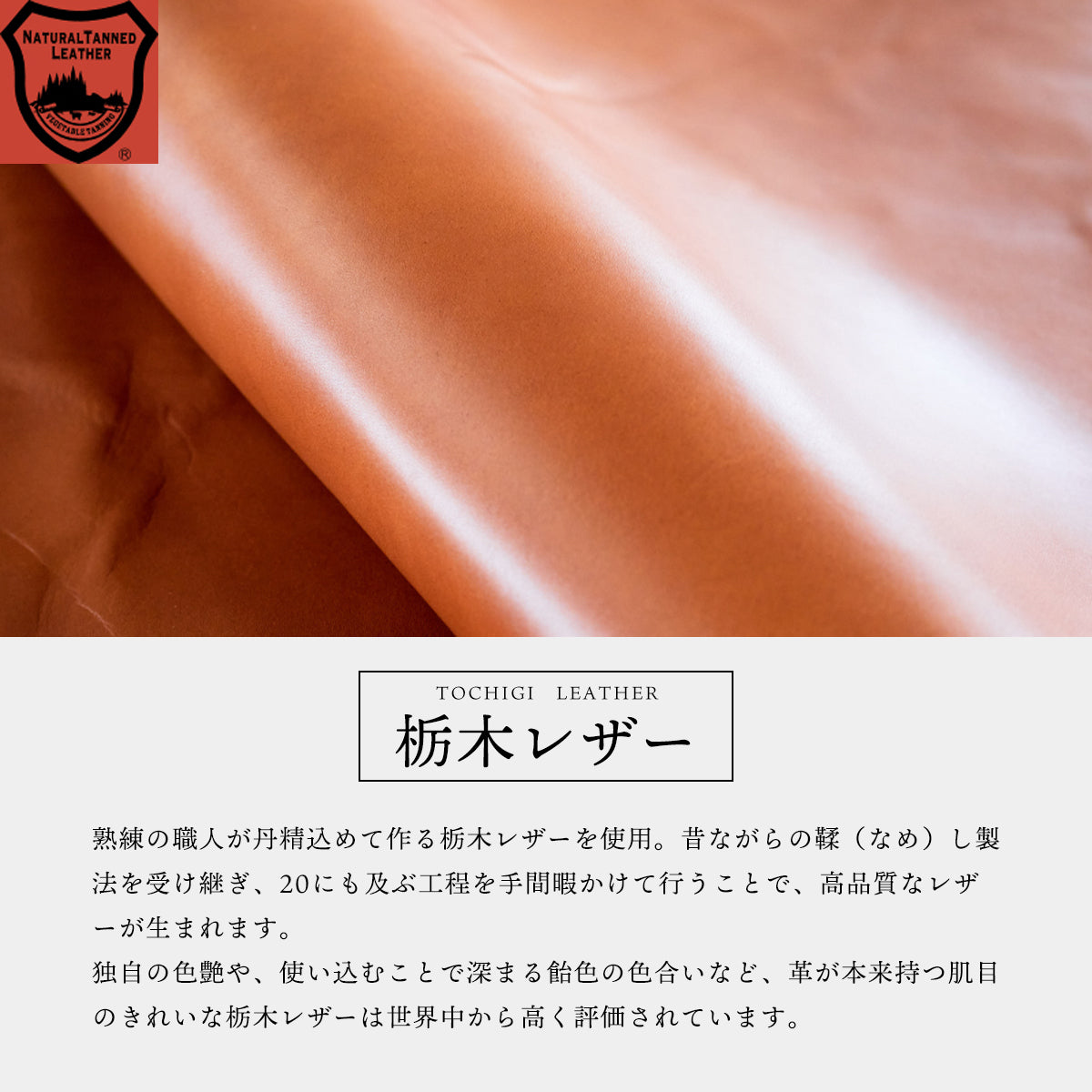 ペンケース 革 2本差し 栃木レザー 本革 シンプル おしゃれ ペンホルダー ペン挿し ペン入れ 日本製 筆箱 コンパクト スリム ビジネス プレゼント 20代 30代 40代 50代 60代 プレゼント ギフト 入学祝い 就職祝い 新社会人 父の日 母の日 敬老の日 誕生日 メンズ レディース