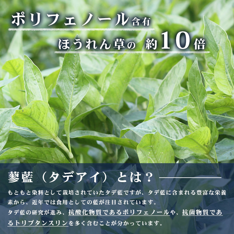 藍茶 九州産 2g×30包 ティーバッグ 60g入 蓼藍 藍葉 茎 茶葉 あいちゃ 国産 健康茶 タデアイ タデ藍 焙煎 飲みやすい ポリフェノール ノンカフェイン エイジングケア