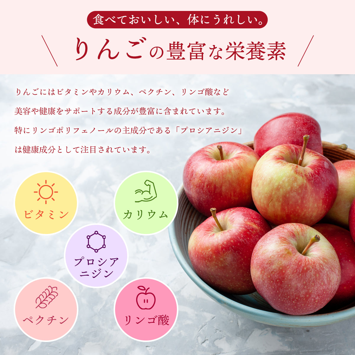 りんごパウダー 100g アップル 粉末 スプレードライ 果汁 濃縮 3.7倍 オーストリア産 林檎 リンゴ ヨーグルト スムージー ジュース お菓子作り 材料 ビタミン カリウム ペクチン りんご酸 美容 健康 プロシアニジン