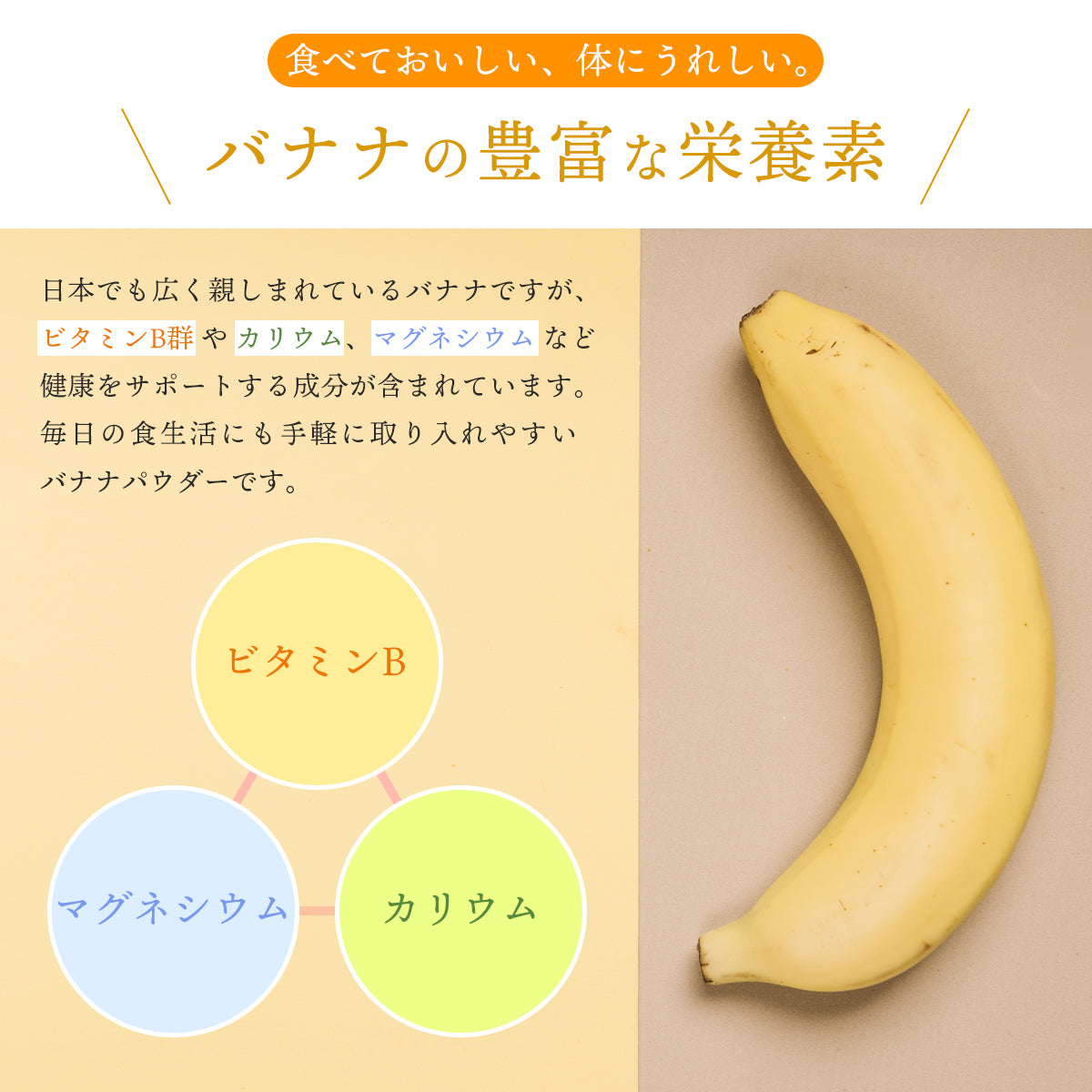 バナナパウダー 100g バナナ 粉末 スプレードライパウダー 南米産 バナナピューレ 2倍濃縮 キャベンディッシュ ヨーグルト スムージー ジュース お菓子作り 材料 ビタミンB カリウム マグネシウム 美容 健康