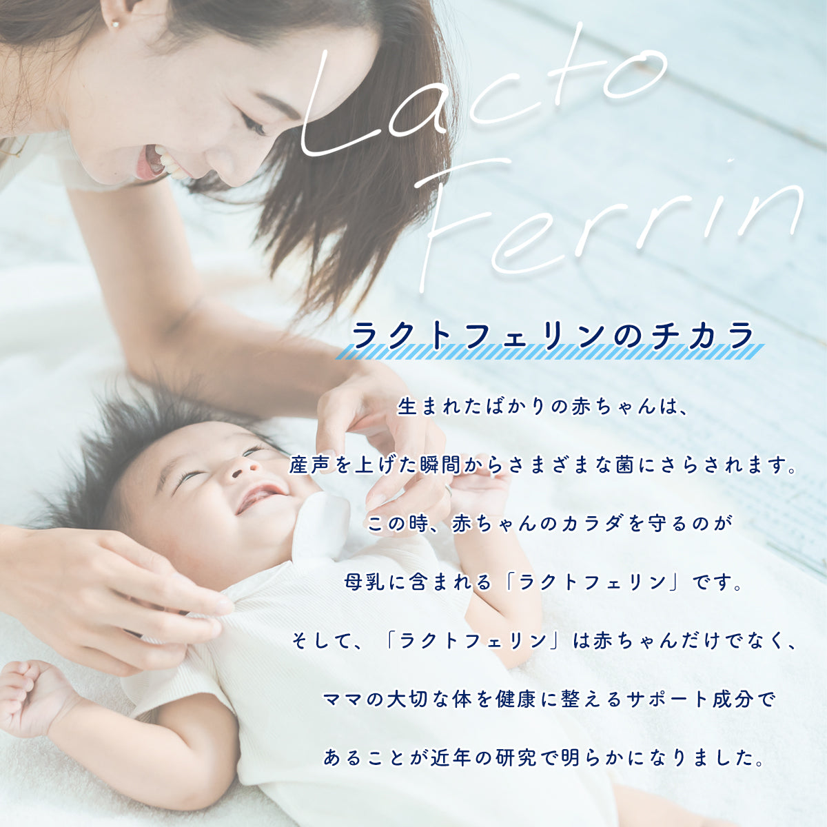 ラクトフェリン 粉末 100g パウダー サプリメント 妊活 菌活 菌トレ 腸活 美容 健康 妊娠 出産 子供 母乳 ラクトフェリン 善玉菌 プレママ マタニティ