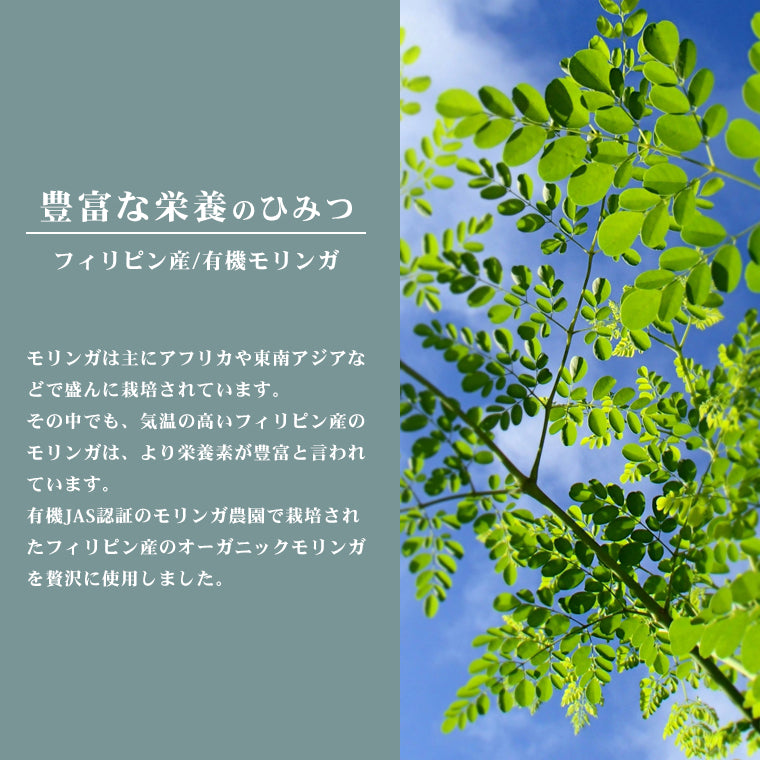 オーガニック モリンガパウダー 100g 有機JAS認証 オーガニック モリンガ葉 粉末 スーパーフード 無農薬 無化学肥料 パウダー 青汁 抹茶  有機 JAS 効能 効果 茶