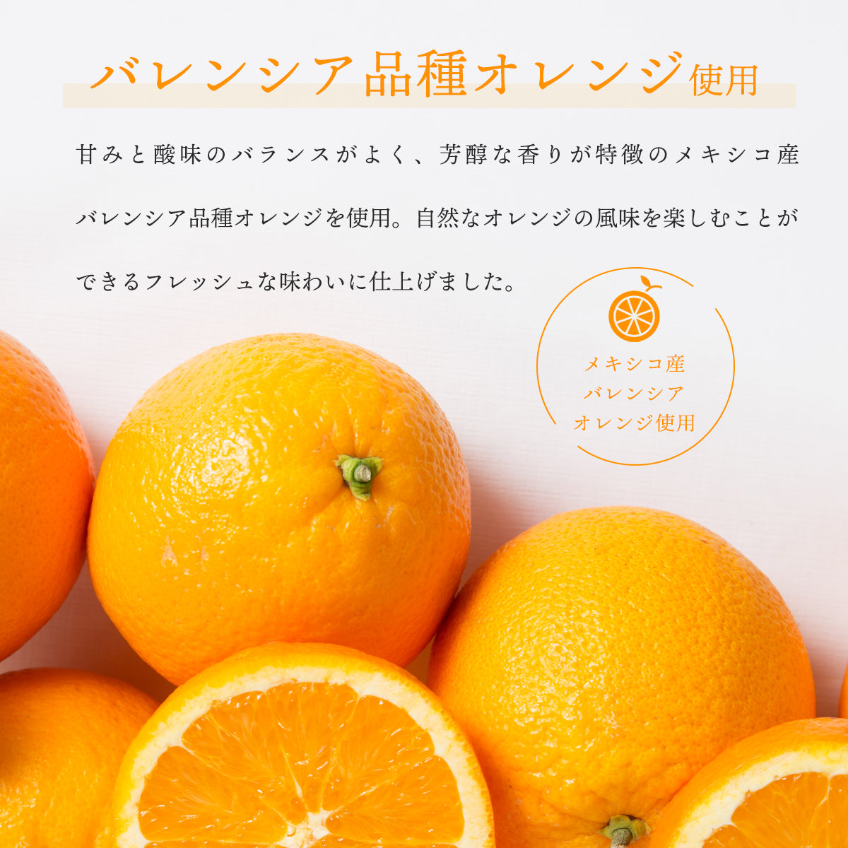 オレンジパウダー 100g バレンシア オレンジ 粉末 スプレードライパウダー メキシコ産 オレンジ果汁 3.7倍濃縮 ヨーグルト スムージー ジュース お菓子作り 材料 ビタミンC 美容 健康