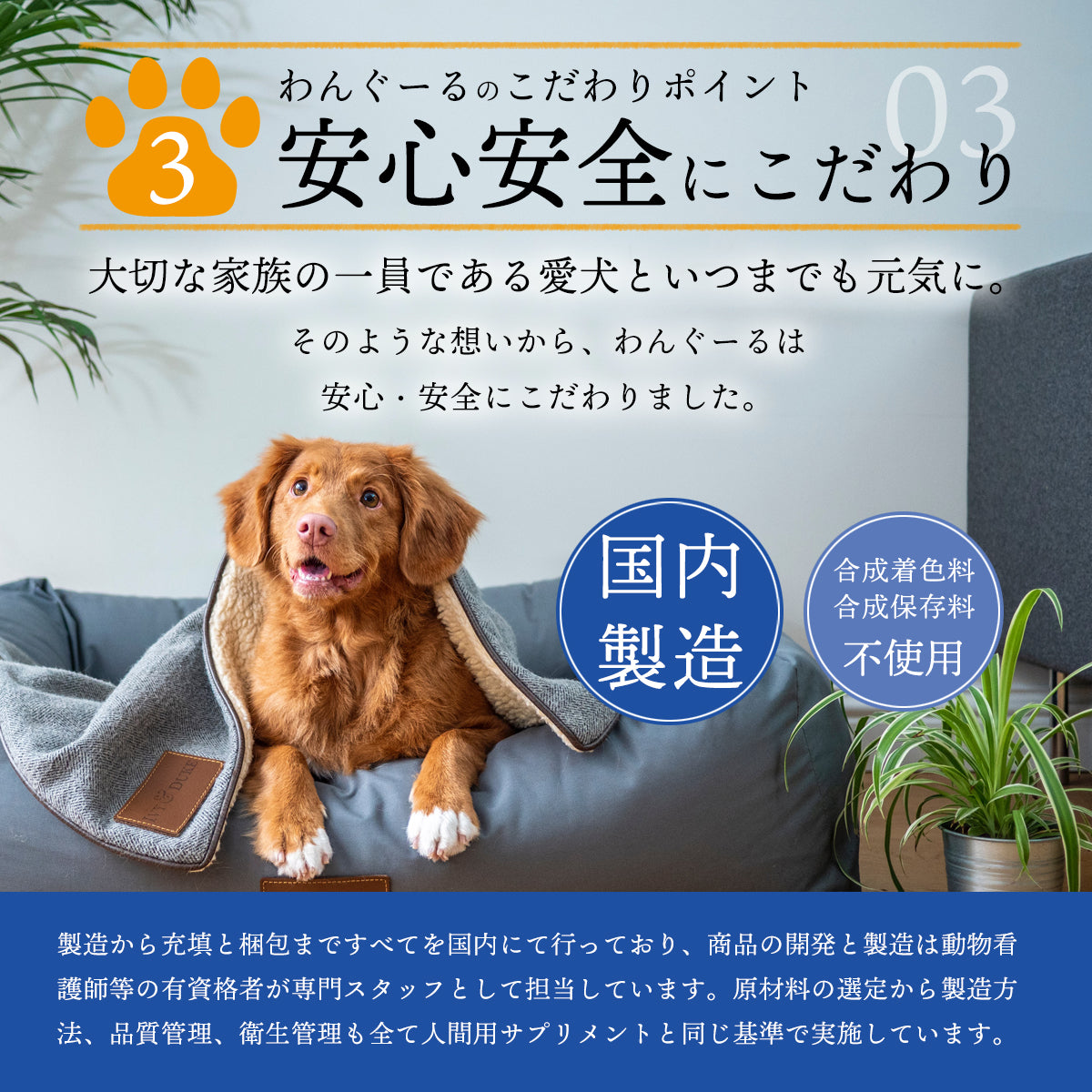 リラペット 愛犬の骨・関節ケアサプリ 【わんぐーる】 WANGOOL 粉末 100g入り 計量スプーン付き 犬 関節 サプリメント 犬用サプリ  関節の健康サポートフード 関節炎 グルコサミン MSM配合 大型犬 中型犬 小型犬 全犬種 ワンちゃん 米粉 乾燥ビール酵母 豚皮コラーゲンペプチド 